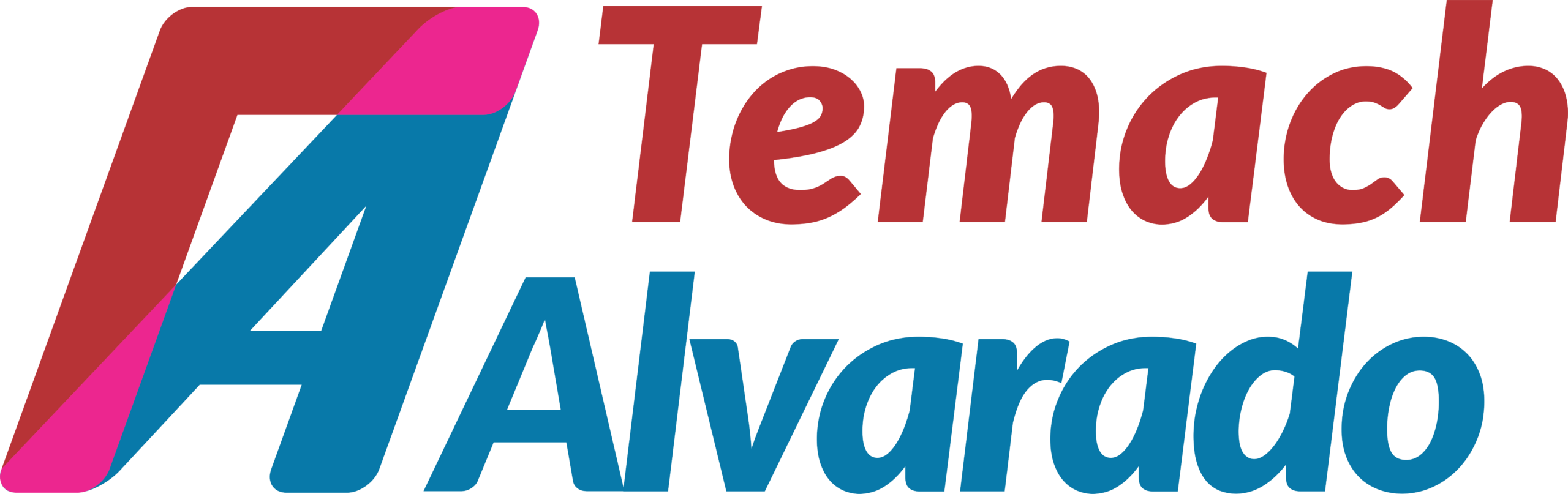 Temach Alvarado | Reconstruyendo mi vida